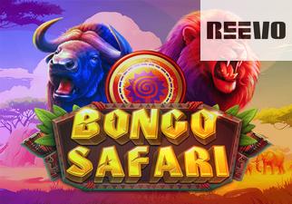 Bongo Safari