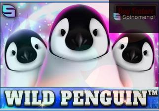 Wild Penguin